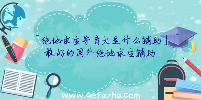 「绝地求生导盲犬是什么辅助」|最好的国外绝地求生辅助